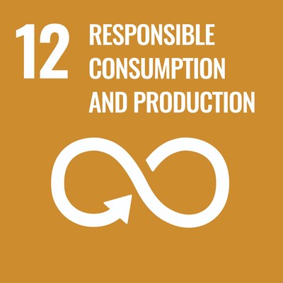 Obiettivo 12 dell’Agenda 2030